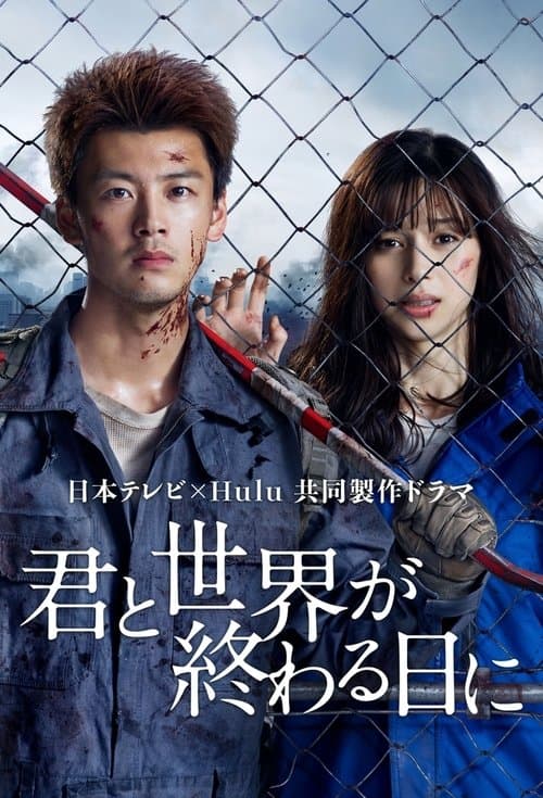 君と世界が終わる日に poster