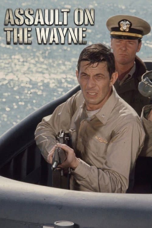 Assault on the Wayne poster