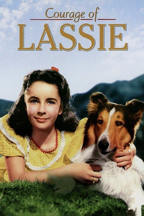 Korkusuz Lassie poster