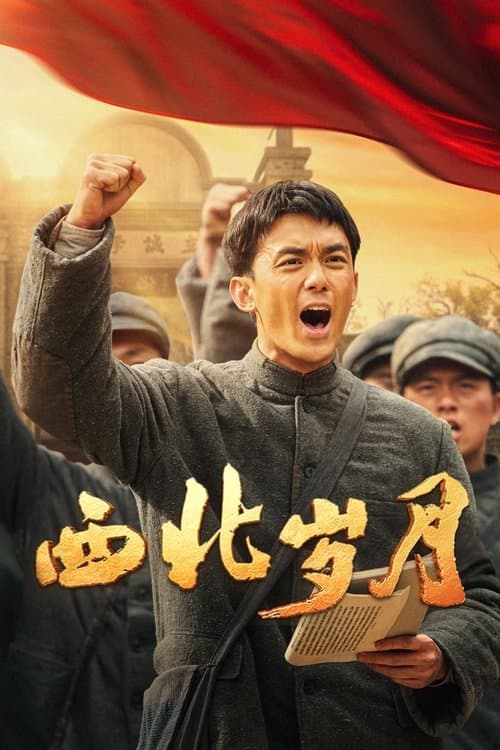 西北岁月 poster