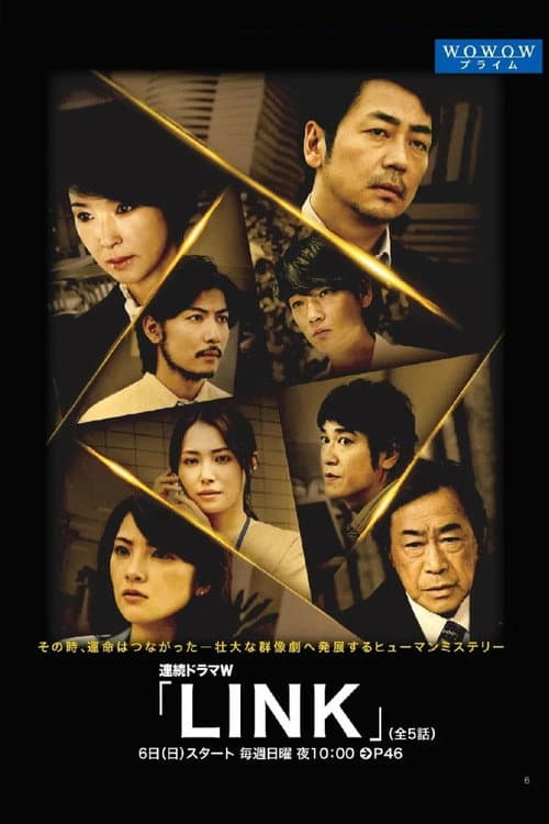LINK poster