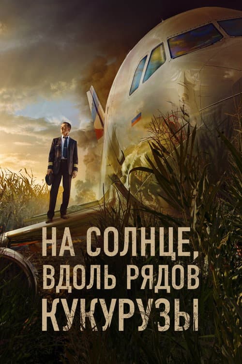 На солнце, вдоль рядов кукурузы poster