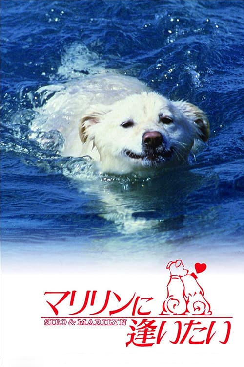 マリリンに逢いたい poster