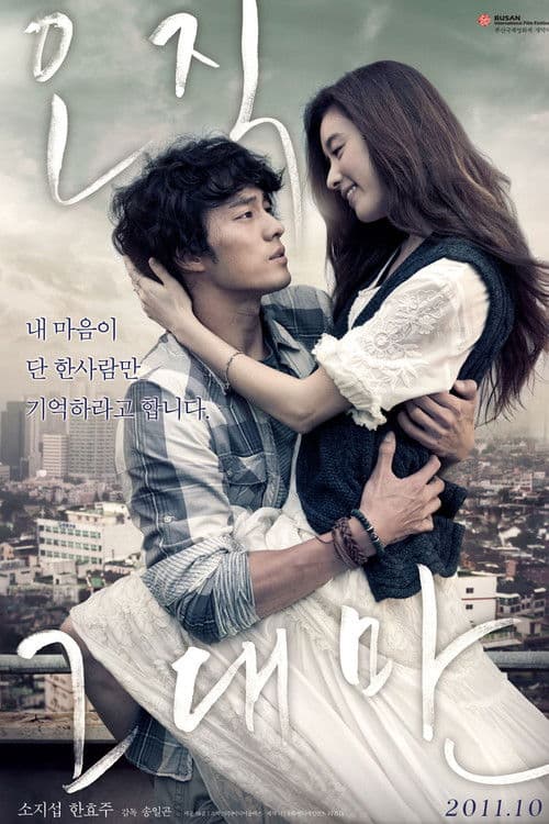 오직 그대만 poster